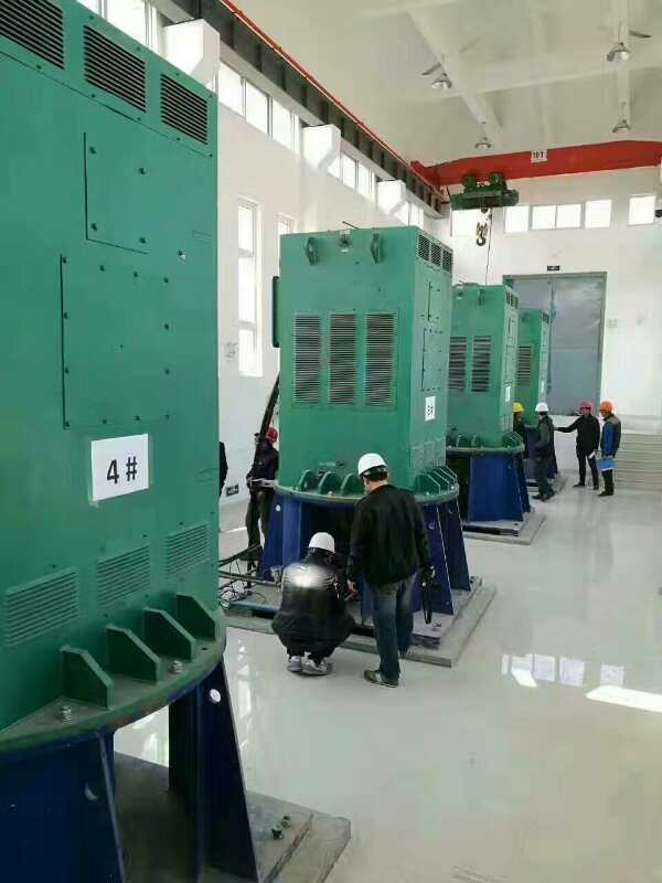 鄂尔多斯某污水处理厂使用我厂的立式高压电机安装现场生产厂家